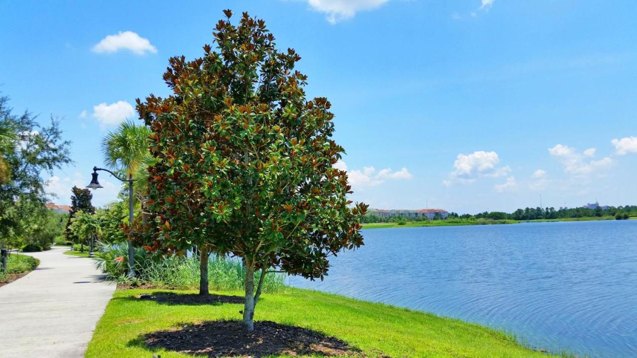 Ground-Floor Condo Next To Vista Cay Clubhouse And Pool! Orlando Eksteriør billede